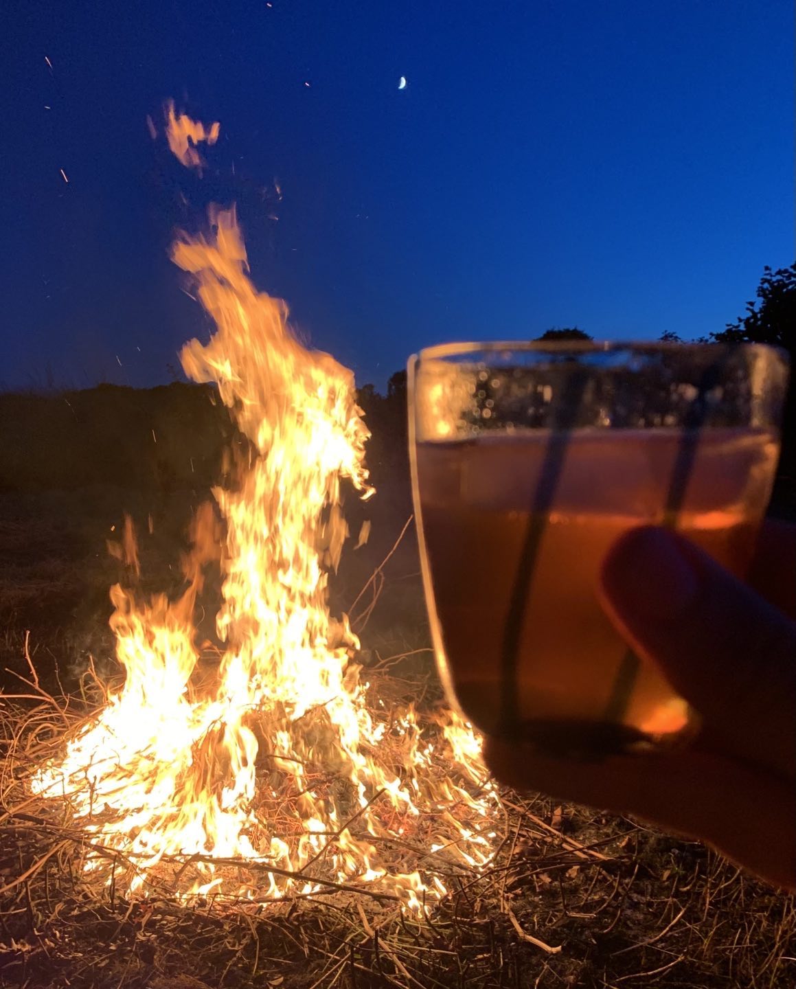 Last night’s belated solstice celebrations - flaming bramble and vine prunings beneath a crescent moon, toasted with a Gibson’s Organic Sloe gin n tonic #organic #sloegin #cotswolds #cocktails #druidpotions
